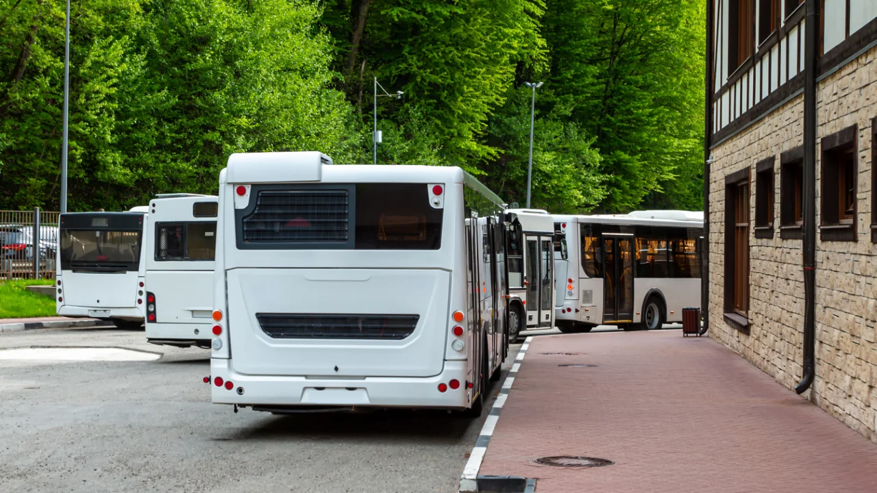 Ônibus urbanos brancos parados em plataforma de terminal de transporte, com árvores ao fundo