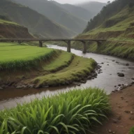 Pequena ponte de estrada sobre rio em vale verde, com mata nas margens e pista de mão dupla