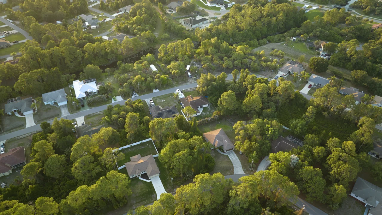 Vista aérea de bairro arborizado, com ruas entre árvores, ao amanhecer