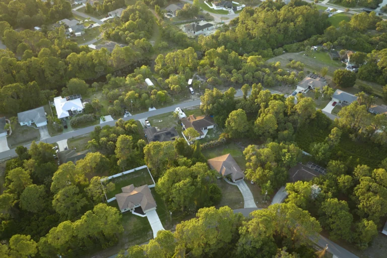 Vista aérea de bairro arborizado, com ruas entre árvores, ao amanhecer