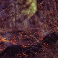 Vegetação seca em chamas com fumaça densa ao lado de galhos acumulados