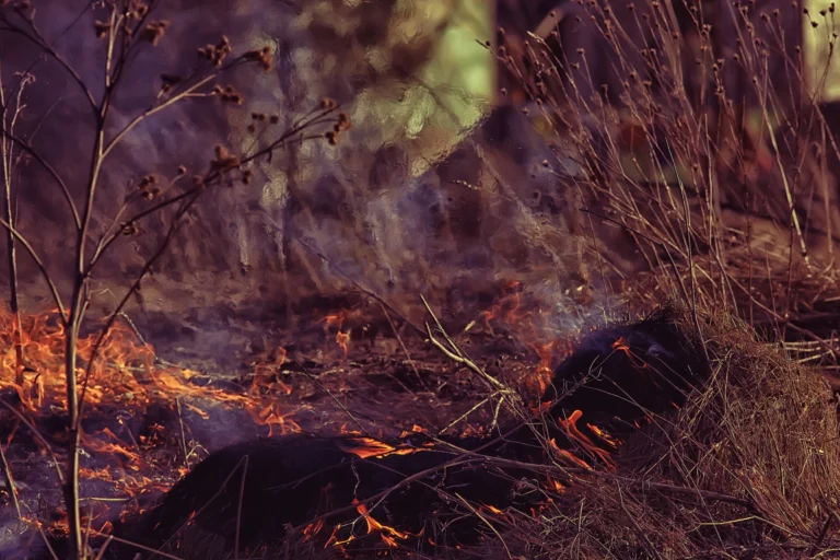 Vegetação seca em chamas com fumaça densa ao lado de galhos acumulados