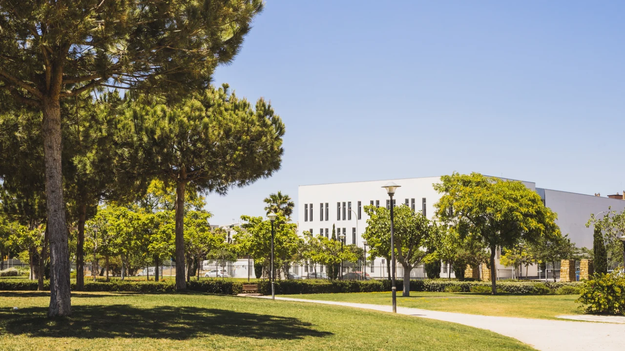 Campus universitário arborizado com gramado, árvores e prédio claro sob céu azul