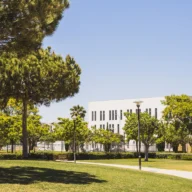 Campus universitário arborizado com gramado, árvores e prédio claro sob céu azul
