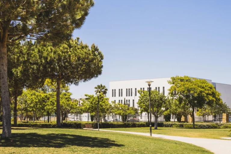 Campus universitário arborizado com gramado, árvores e prédio claro sob céu azul
