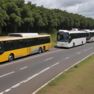 Ônibus urbanos enfileirados em pista de rodovia, sob céu nublado