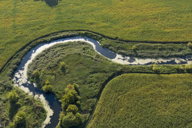 Vista aérea de um rio de águas calmas com margens de vegetação verde, cercado por campos cultivados