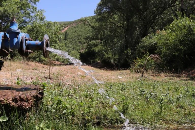 Cano e válvula de metal jorrando água em área rural com mata ao fundo, sob céu limpo