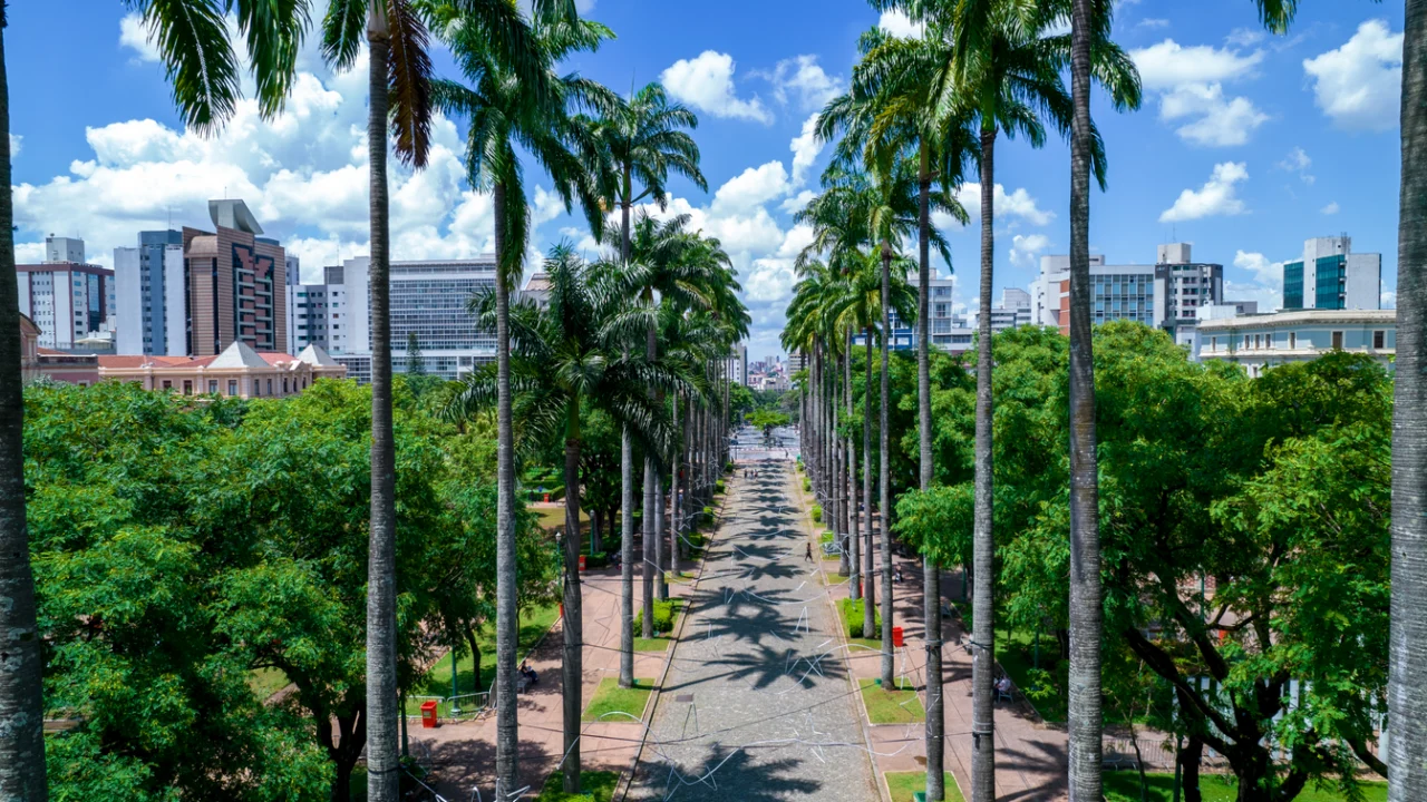 Praça arborizada com palmeiras em cidade do interior, prédios ao fundo em manhã de sol