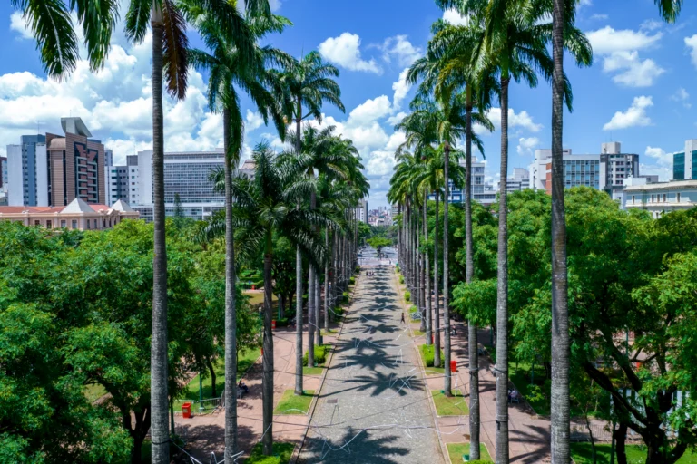 Praça arborizada com palmeiras em cidade do interior, prédios ao fundo em manhã de sol