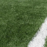Gramado de campo de futebol com linha branca demarcatória sob luz de fim de tarde