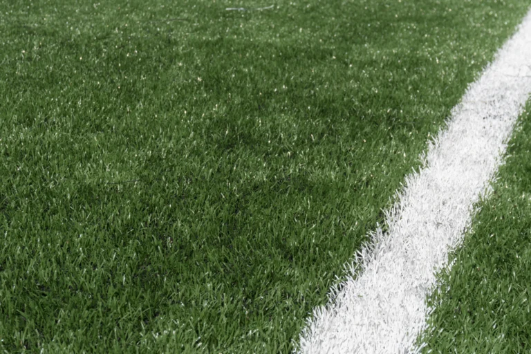 Gramado de campo de futebol com linha branca demarcatória sob luz de fim de tarde