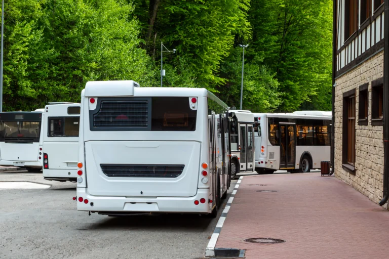 Ônibus urbanos brancos estacionados lado a lado junto a uma via arborizada