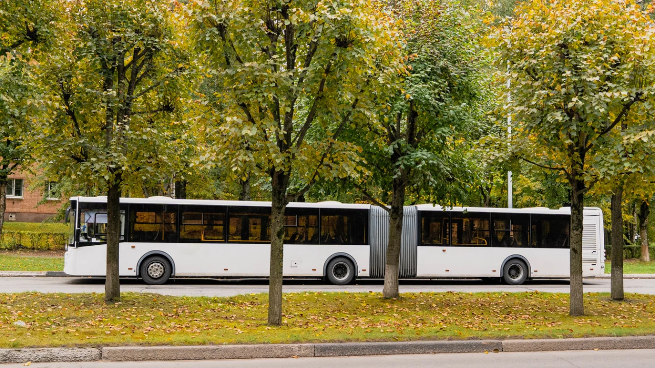 Ônibus urbano branco circulando em avenida arborizada de cidade do interior