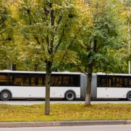 Ônibus urbano branco circulando em avenida arborizada de cidade do interior