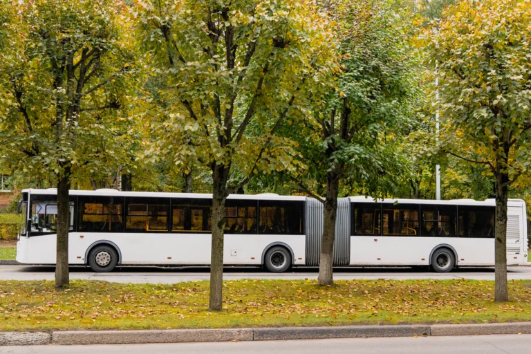 Ônibus urbano branco circulando em avenida arborizada de cidade do interior