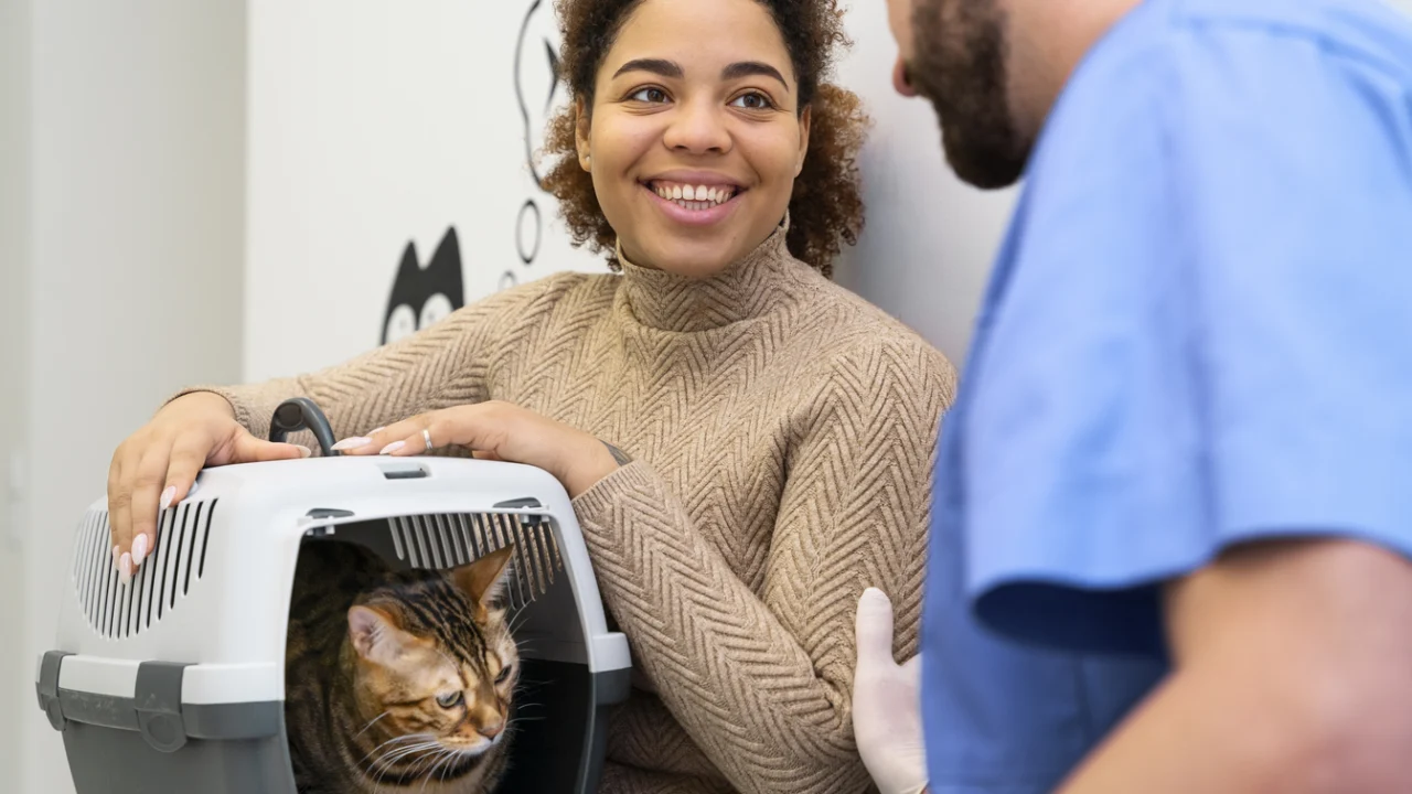 Tutora segura caixa de transporte com um gato durante atendimento em clínica veterinária