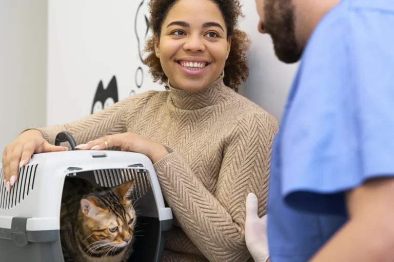 Tutora segura caixa de transporte com um gato durante atendimento em clínica veterinária